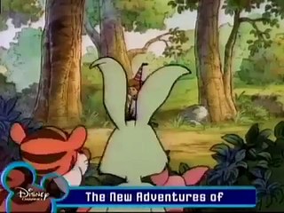 Pooh Bear Monkey See, Monkey Do Better Full Episodes)