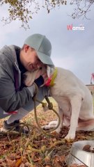 «  On frisonne d’émotion » : Yvana, battante au grand coeur nous raconte sa vie de bénévole à la SPA