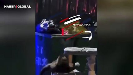 Çöpe atılan oyuncakla oynayan sokak kedisinin mutluluğu izlenme rekoru kırdı