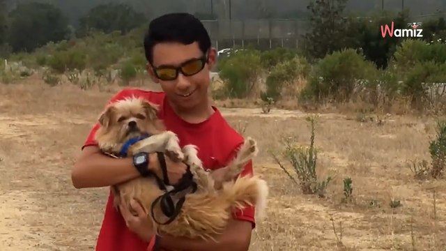 A la place des cours de sport, les élèves de cette école courent avec les chiens d'un refuge (vidéo)