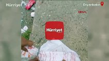 Diyarbakır'da çuvala koyulup atılan kediyi çevredekiler kurtardı