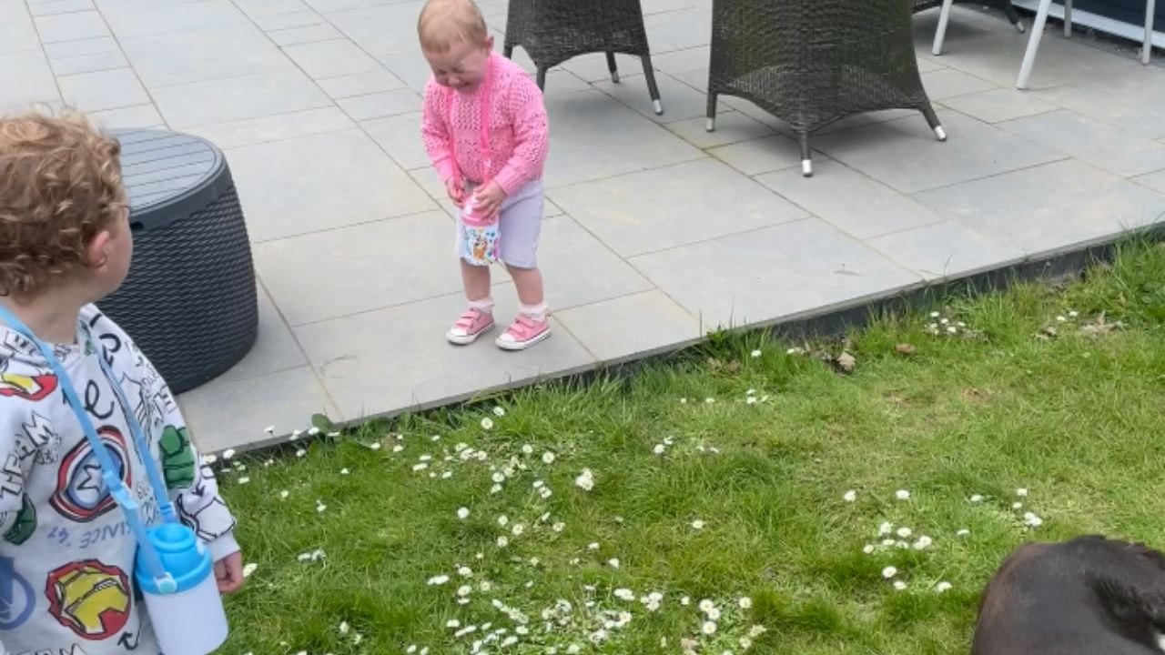 Little girl's tears reveal a profound empathy for a tiny ladybug's perceived plight