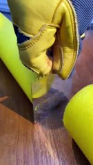 Playlist_ “Dont try them at home”  #thatlittlepuff #catsofyoutube