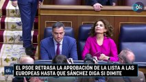 El PSOE retrasa la aprobación de la lista a las europeas hasta que Sánchez diga si dimite