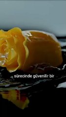 Niximera işletmelere yenilikçi çözümler