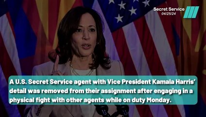 Secret Service Agent Removed After Disturbing Behavior