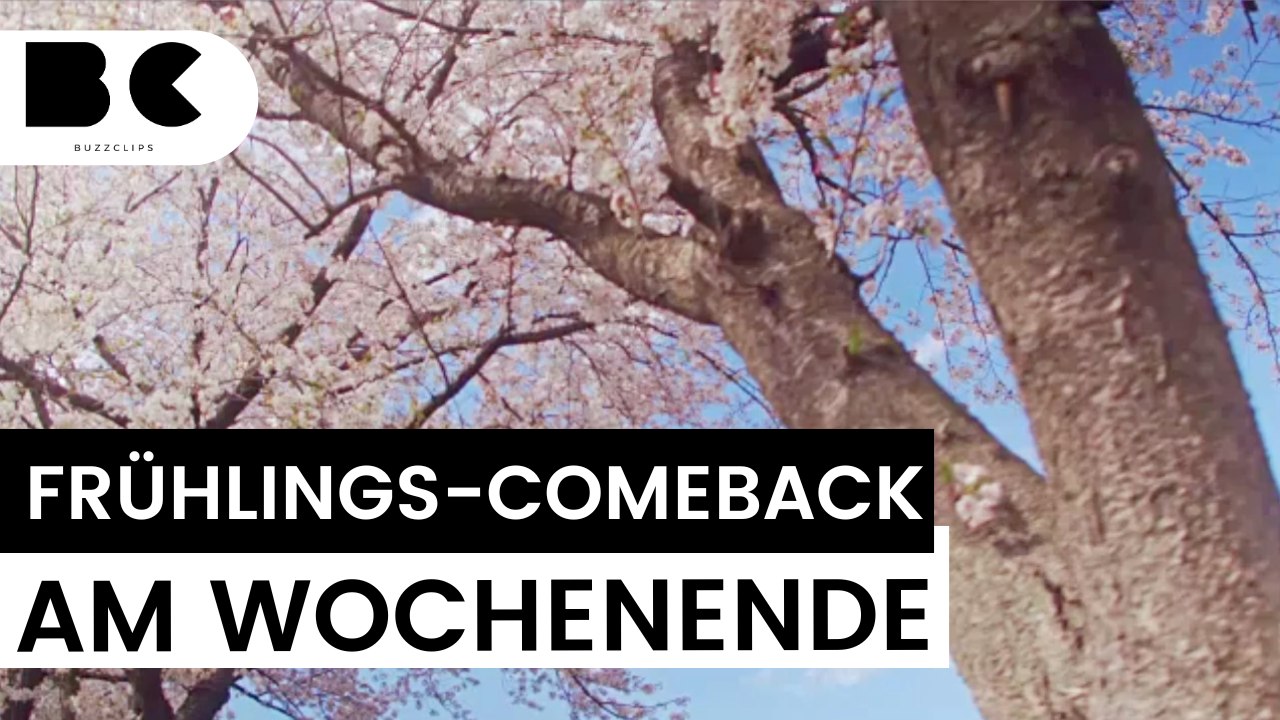 Frühling kommt am Wochenende endlich wieder zurück!