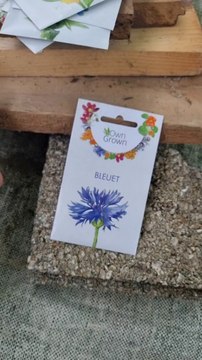 Je plante des fleurs comestibles Ep1 ! #DailySeMetAuVert ! (Exclusivité Dailymotion)