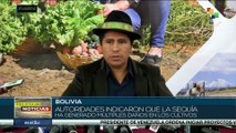 Programa estatal en Bolivia enfrenta pérdida de cultivos