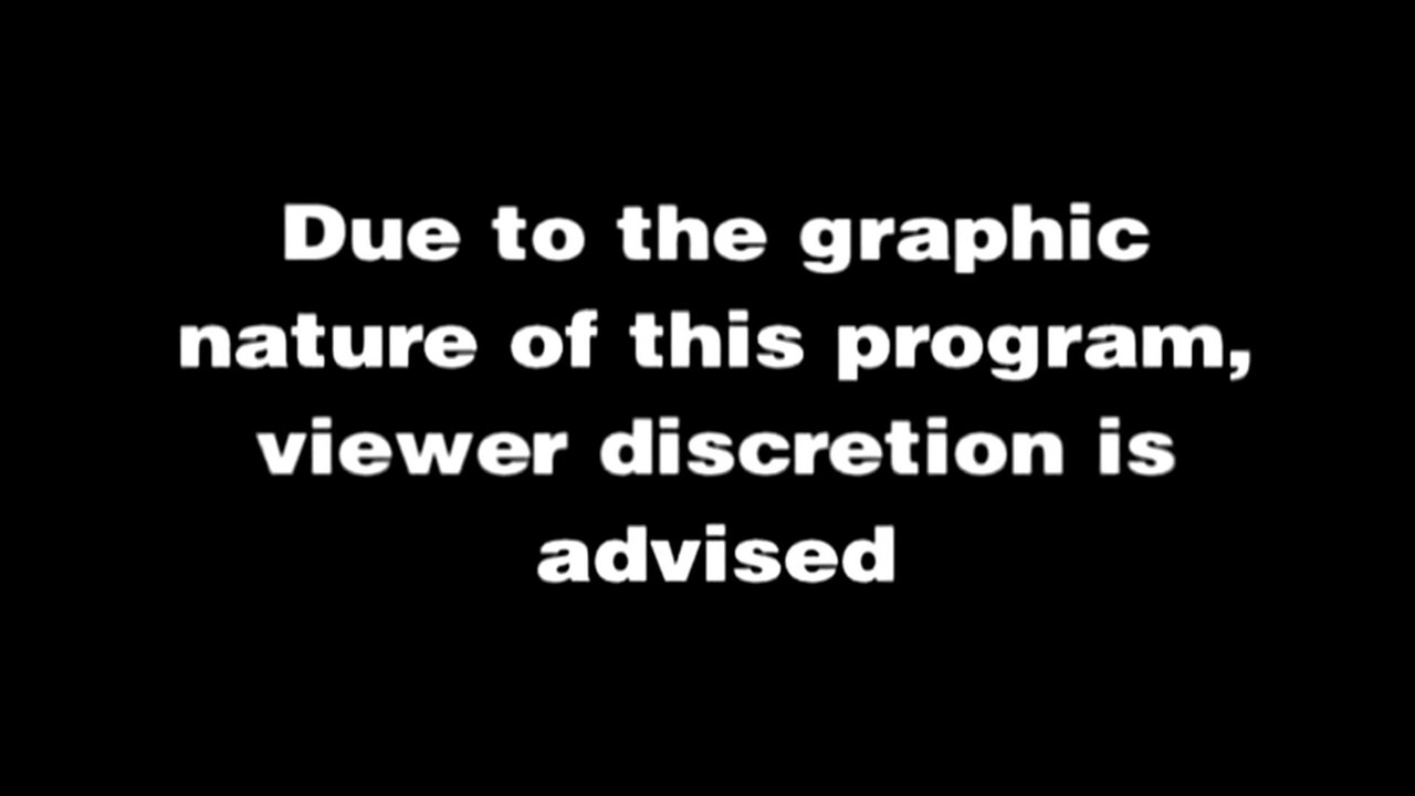 When Squirrels Attack - Police Ping TV Station ID