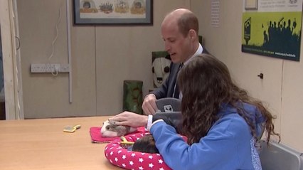 Prince William Spends His Life Cleaning Out This Unexpected Royal Home