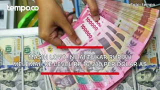 Masih Loyo, Nilai Tukar Rupiah Melemah ke Level Rp 16.210 per Dolar AS