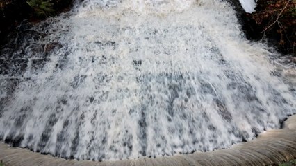 Chawton Bunny weir, Dorset UK