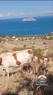 Hozan Hogır çiyaye zozan