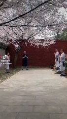 _Shorts shaolin kung fu _Shorts(2K_HD)