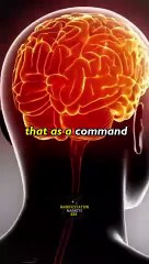 Manifest using Power of I Am