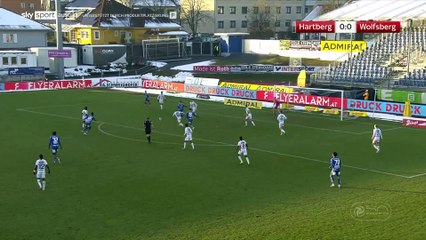 17. Runde 2324: Hartberg - Wolfsberger AC