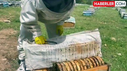 Kadıköy'de seçimi kaybeden Fatih Mehmet Maçoğlu'nun yeni işi