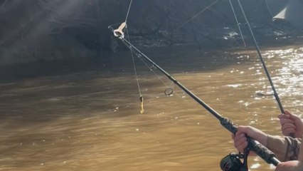 Family's barramundi dream turns into a close encounter with a crocodile