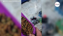 Callejero aparece en su puerta: medio millón de personas aplauden su acción (Vídeo)