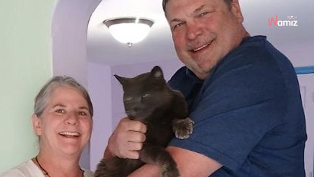 Retrouvé 5 ans après sa disparition, l'histoire de ce chat rappelle l'importance de la puce électronique