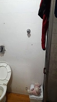 Infestação de baratas interdita abrigo para famílias carentes em Florianópolis