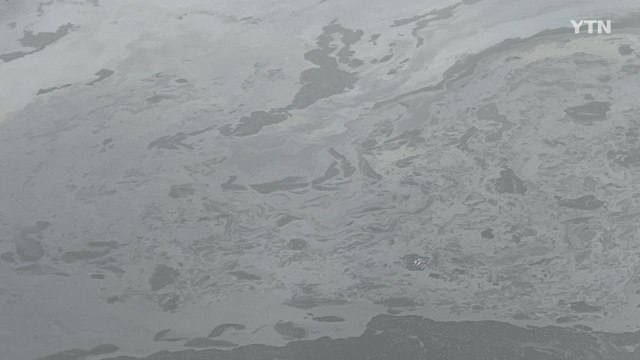 대전 유성구 갑천에 기름 유출...방제 작업 중 / YTN