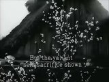 Los siete samuráis (1954) - Trailer