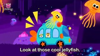 Click- Clack- Seatbelt Song Learn Safety Rules with Baby Shark Pinkfong Official