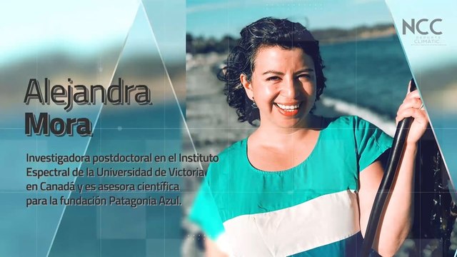 Reporte Climático 143 | Bosques de macroalgas: el tranquilo ecosistema del océano