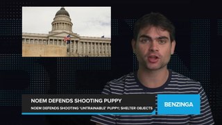 Trump VP Hopeful Kristi Noem Defends Shooting 14-Month-Old 'Untrainable' Puppy, as South Dakota Animal Shelter Slams Decision