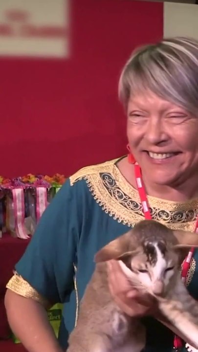 Leurs animaux participent à des concours