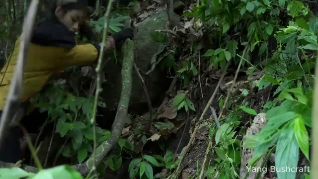 Girl creates her own wild camping site - Bushcraft log cabin and find food in the forest