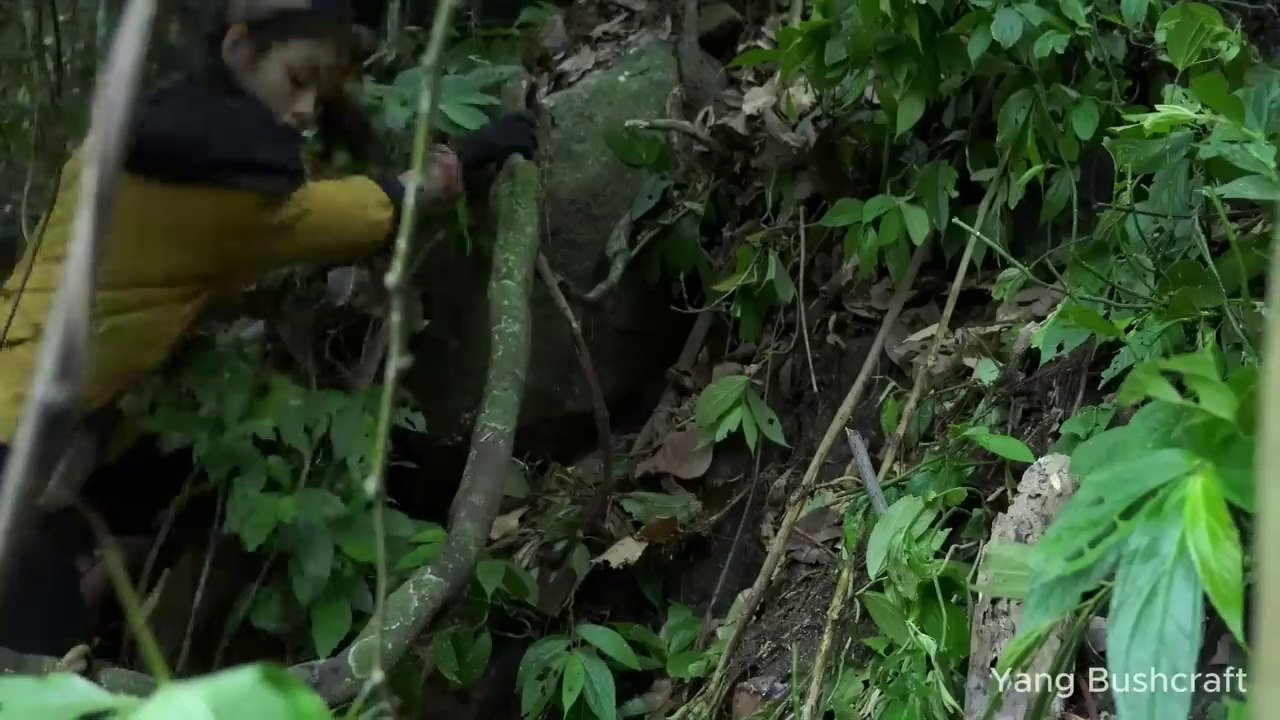 Girl creates her own wild camping site - Bushcraft log cabin and find food in the forest