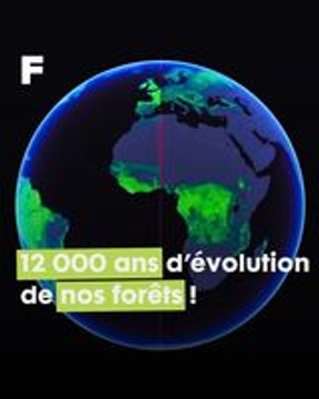 Terre en péril : l'évolution de nos forêts ces 12 000 dernières années !