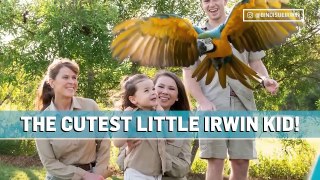 Check Out the CUTEST New Photo of Bindi Irwin's Daughter Grace E! News