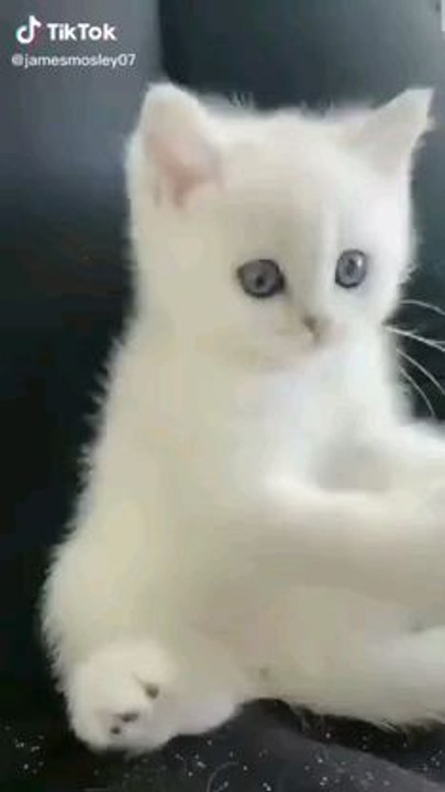 Voici ma nouvelle vidéo
