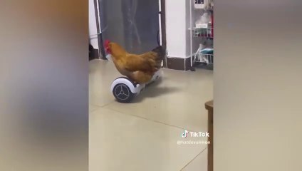 World's HARDEST TRY NOT TO LAUGH Challenge!