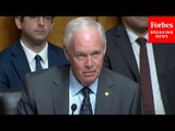 'How Am I Supposed To Interpret That?': Ron Johnson Presses Witnesses About Boeing Reports