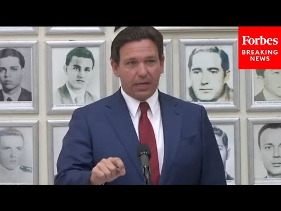 'That's Not What It Says, That's Not What It Says!': DeSantis Defends Controversial Amendment