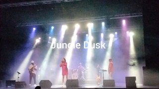 Jungle Dusk
