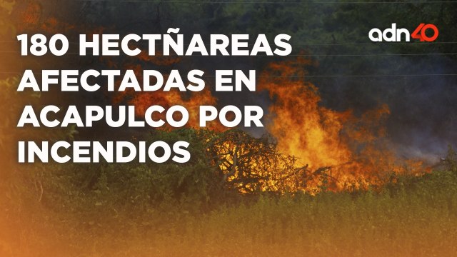 Acapulco no descansa, ahora enfrenta incendios forestales activos dañando sus áreas naturales