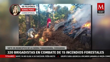 Download Video: En Chihuahua, participan 320 brigadistas en combate de 15 incendios forestales