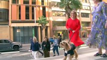 Gina Edwards awarded $150k in damages after court finds Nine Network defamed her in stories that falsely alleged she stole a dog