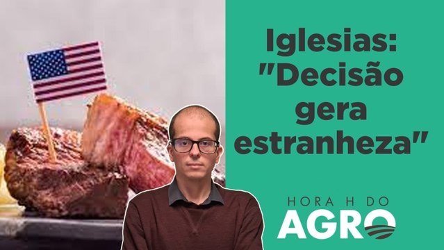 EUA estão proibidos de exportar carne bovina após gripe aviária | HORA H DO AGRO