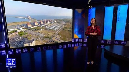 Animales que viven a las afueras de Chernobyl son físicamente diferentes, aseguran expertos