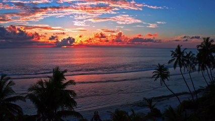 5117938-hd_1920_1080_24fps