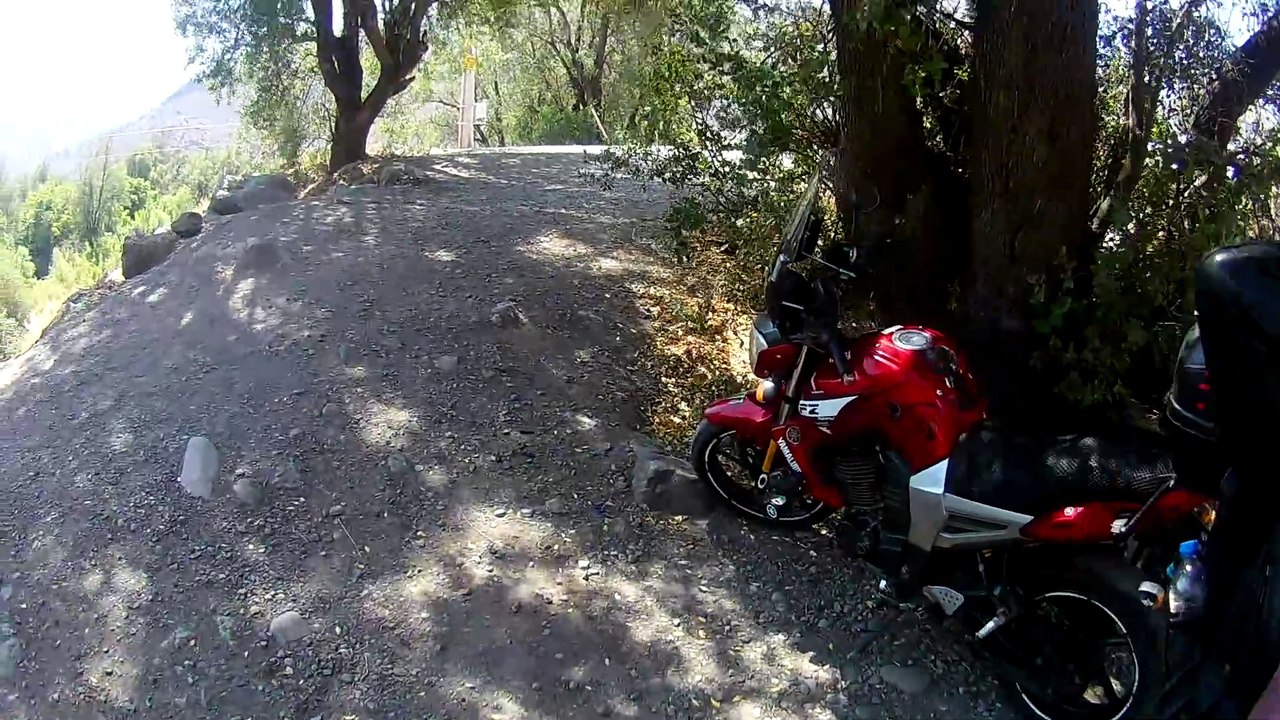 ESTERO CAUQUENES SECTOR EL ARFALFAL