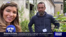 Mimosa bleu, houx sans épines, lomatia ferruginea... Dans l'Essonne, les passionnés de botanique se retrouvent à la fête des plantes