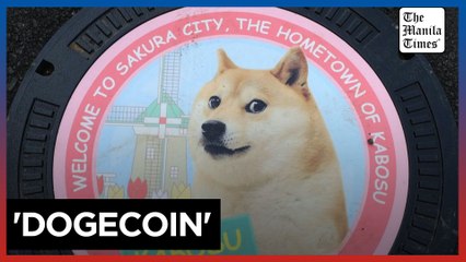 From Rescue Pup to Meme Icon: Meet the Real-Life 'Dogecoin' Dog 🐶